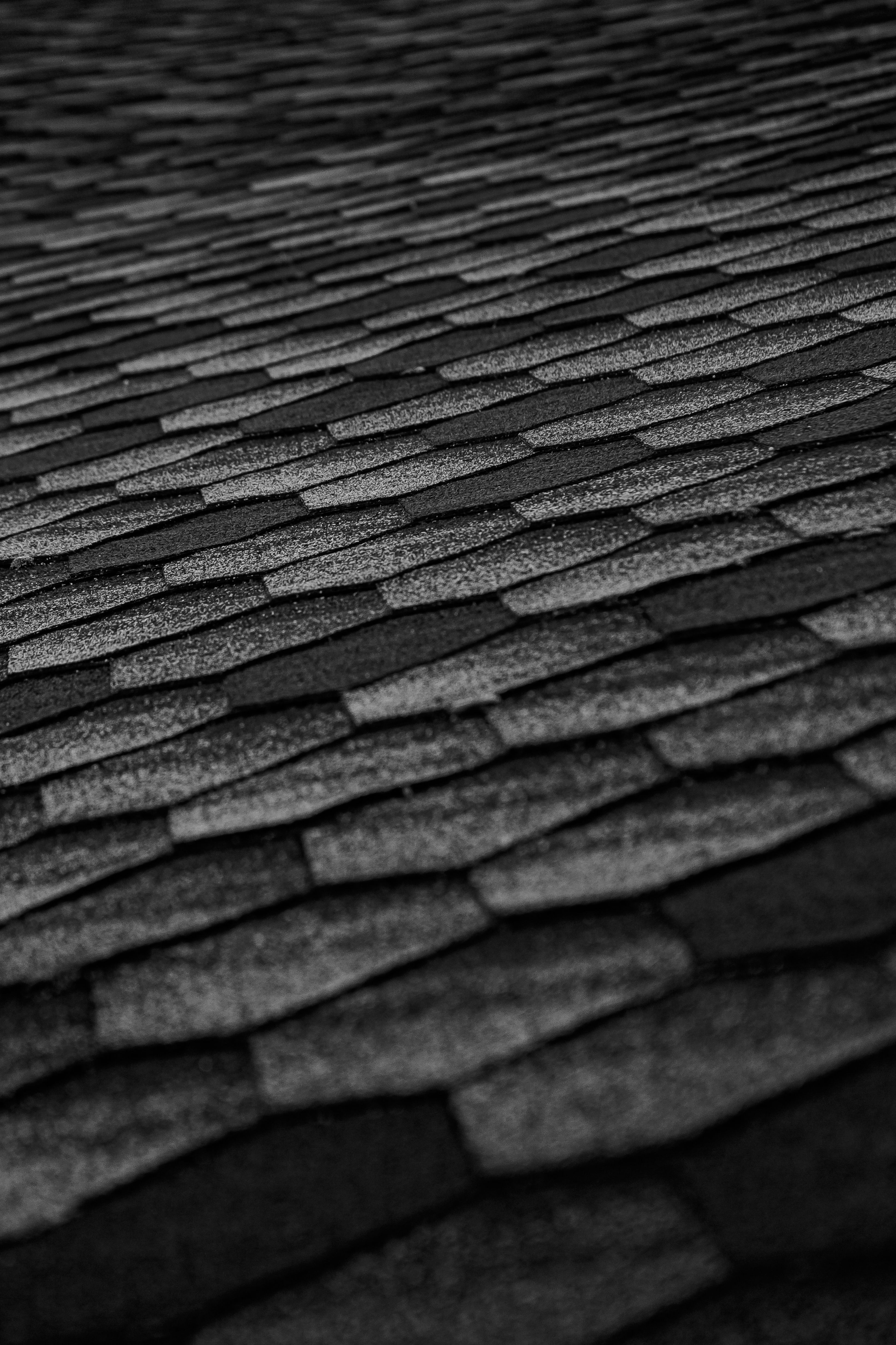 Roofing work in progress